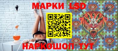 дмт Будённовск